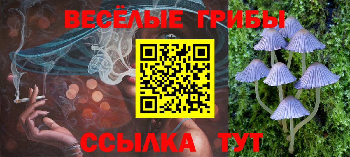 Новоуральск  Псилоцибиновые грибы Cubensis  Вход с VPN 