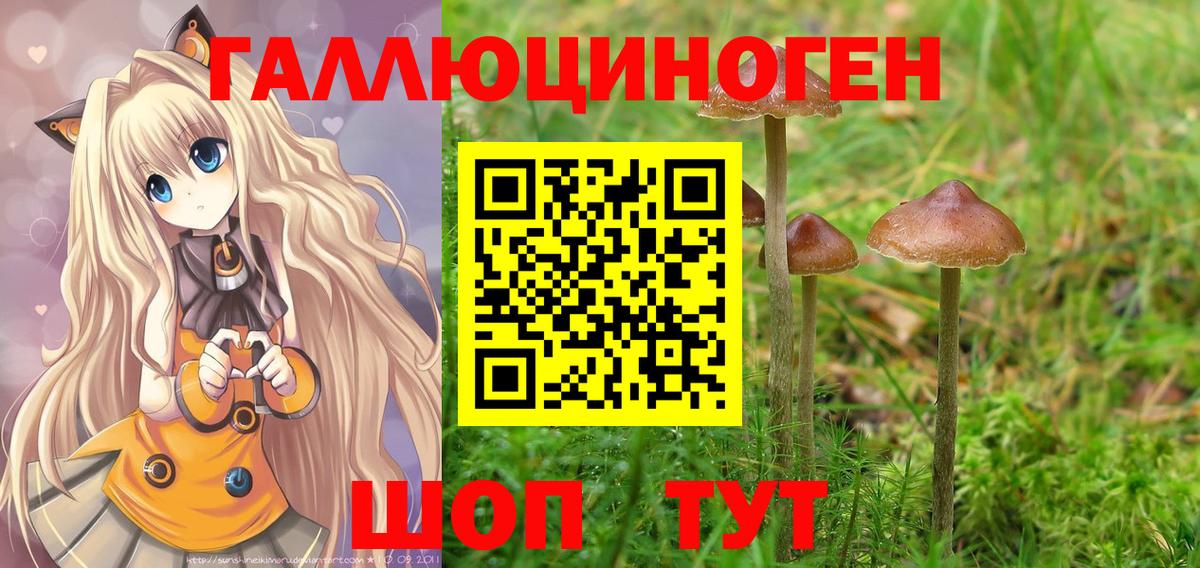 Псилоцибиновые грибы мухоморы Новоуральск